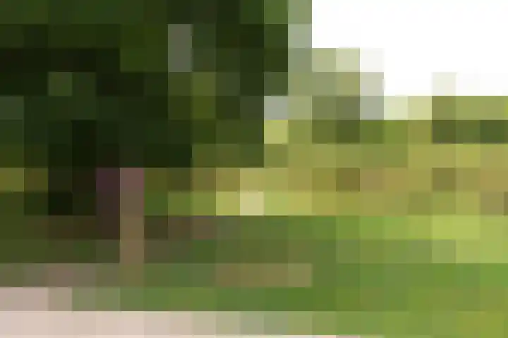J.P. Coenstraat 81 Hilversum thumbnail 30