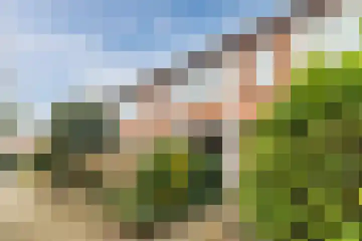 J.P. Coenstraat 94 Hilversum thumbnail 42