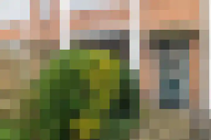 J.P. Coenstraat 94 Hilversum thumbnail 7