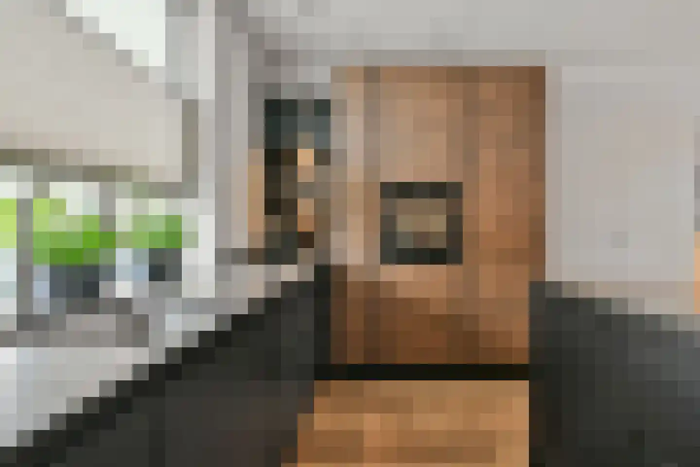 J.P. Gouverneurlaan 20 e Sassenheim thumbnail 24
