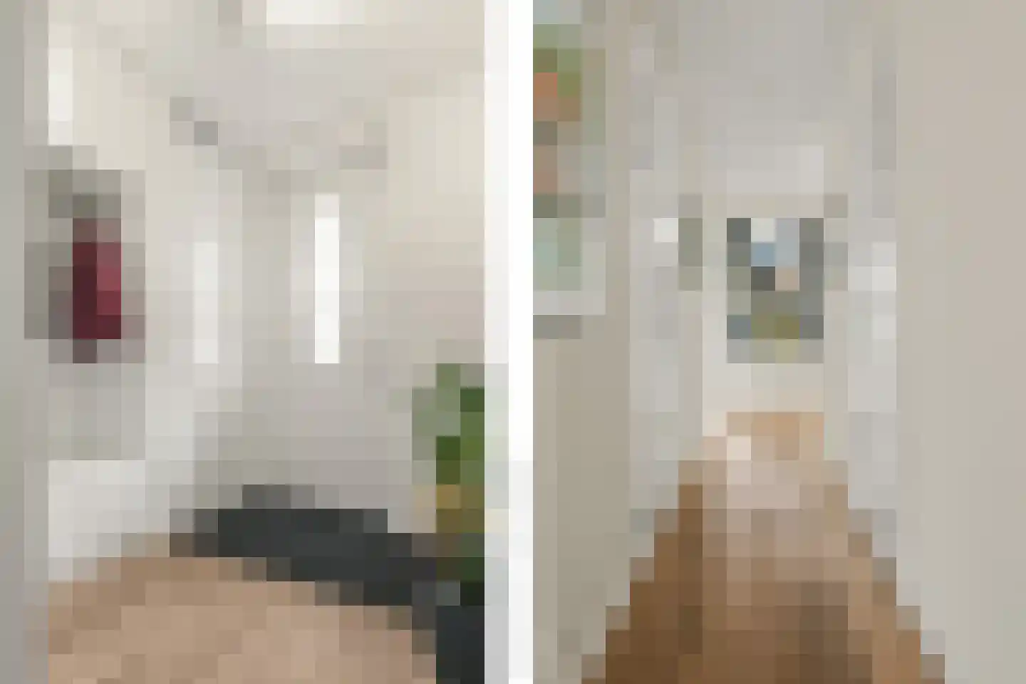 J.P. Gouverneurlaan 20 e Sassenheim thumbnail 8