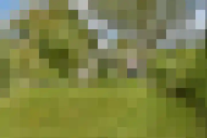 J.P. Gouverneurlaan 45 Sassenheim thumbnail 10