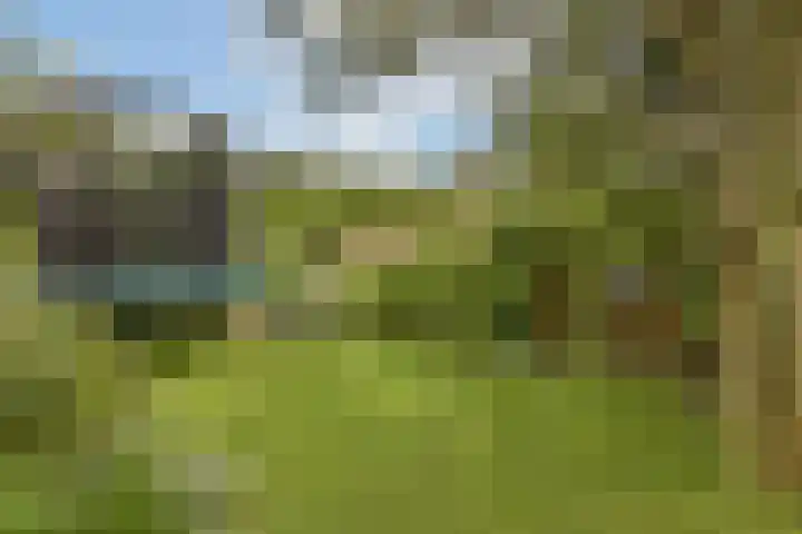 J.P. Gouverneurlaan 45 Sassenheim thumbnail 11