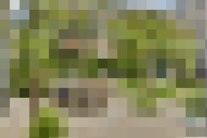 J.P. Gouverneurlaan 45 Sassenheim thumbnail 12