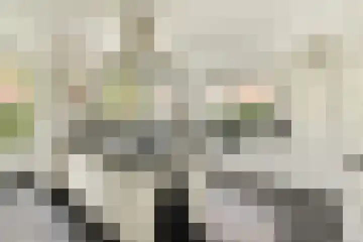 J.P. Gouverneurlaan 45 Sassenheim thumbnail 16