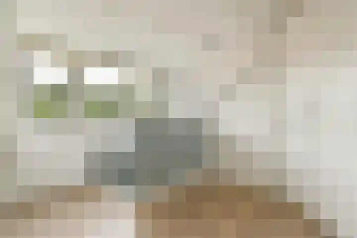 J.P. Gouverneurlaan 45 Sassenheim thumbnail 34