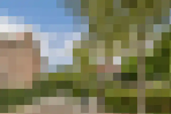 J.P. Gouverneurlaan 45 Sassenheim thumbnail 40