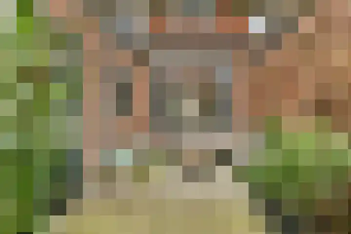 J.P. Gouverneurlaan 56 Sassenheim thumbnail 16