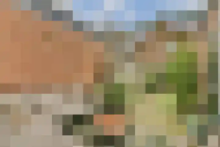 J.P. Gouverneurlaan 56 Sassenheim thumbnail 17