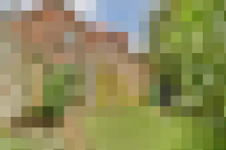 J.P. Gouverneurlaan 56 Sassenheim thumbnail 18