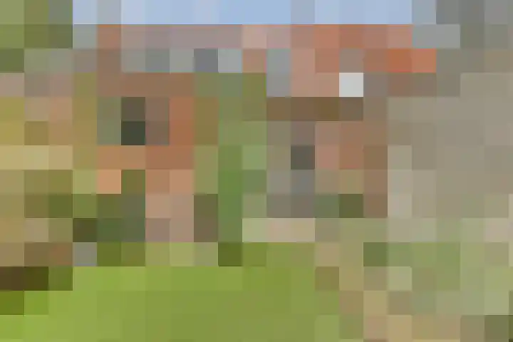 J.P. Gouverneurlaan 56 Sassenheim thumbnail 20