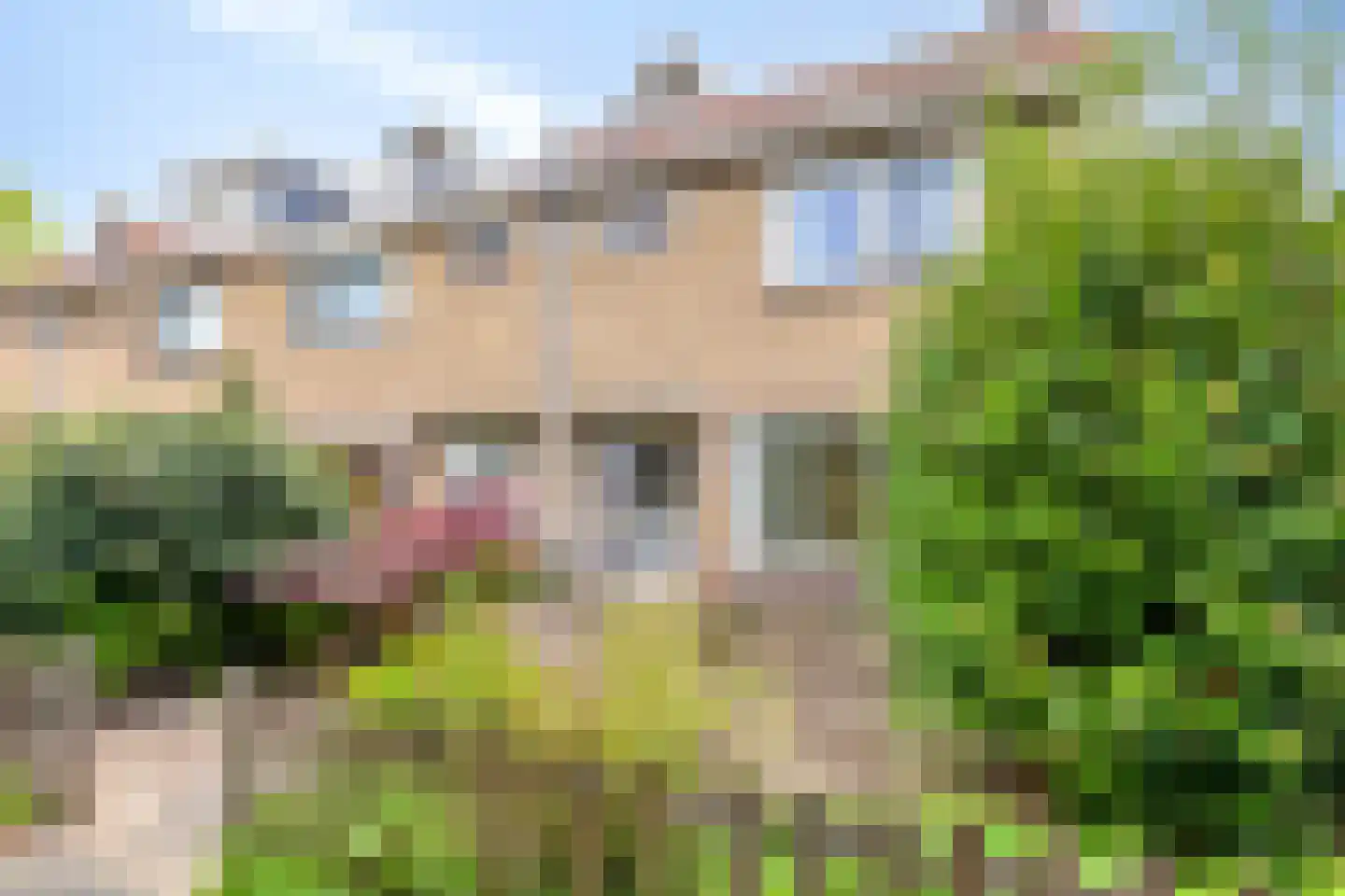 J.P. Grootstraat 68 Purmerend thumbnail 5