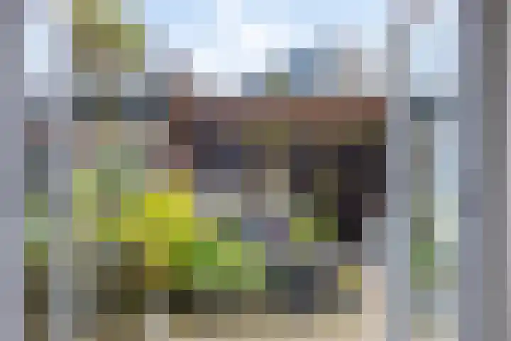 J.P. Grootstraat 7 Purmerend thumbnail 32