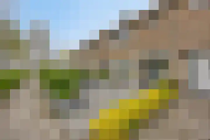 J.P. Grootstraat 7 Purmerend thumbnail 7