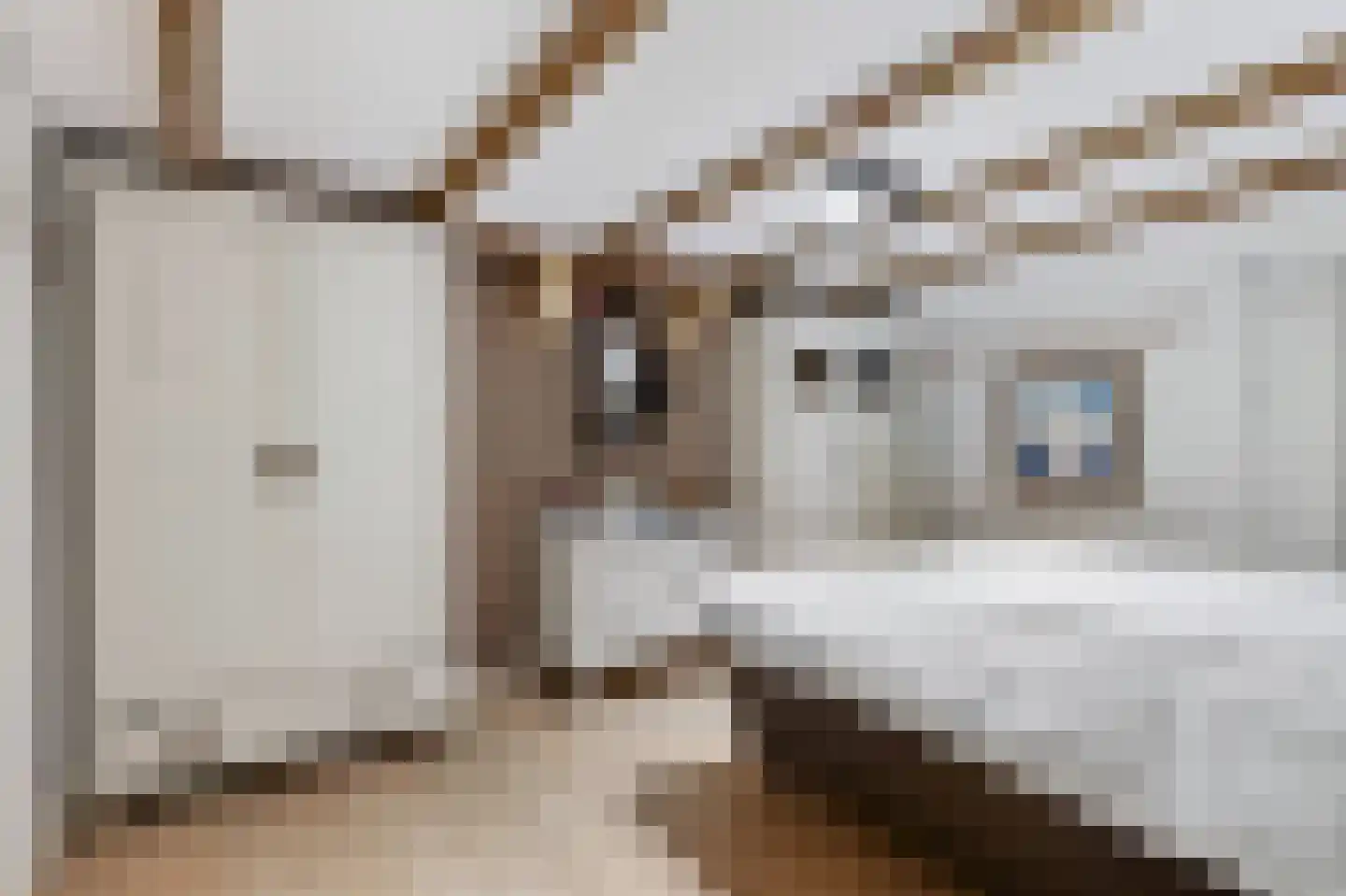 J.P. Heijestraat 28 Arnhem thumbnail 20