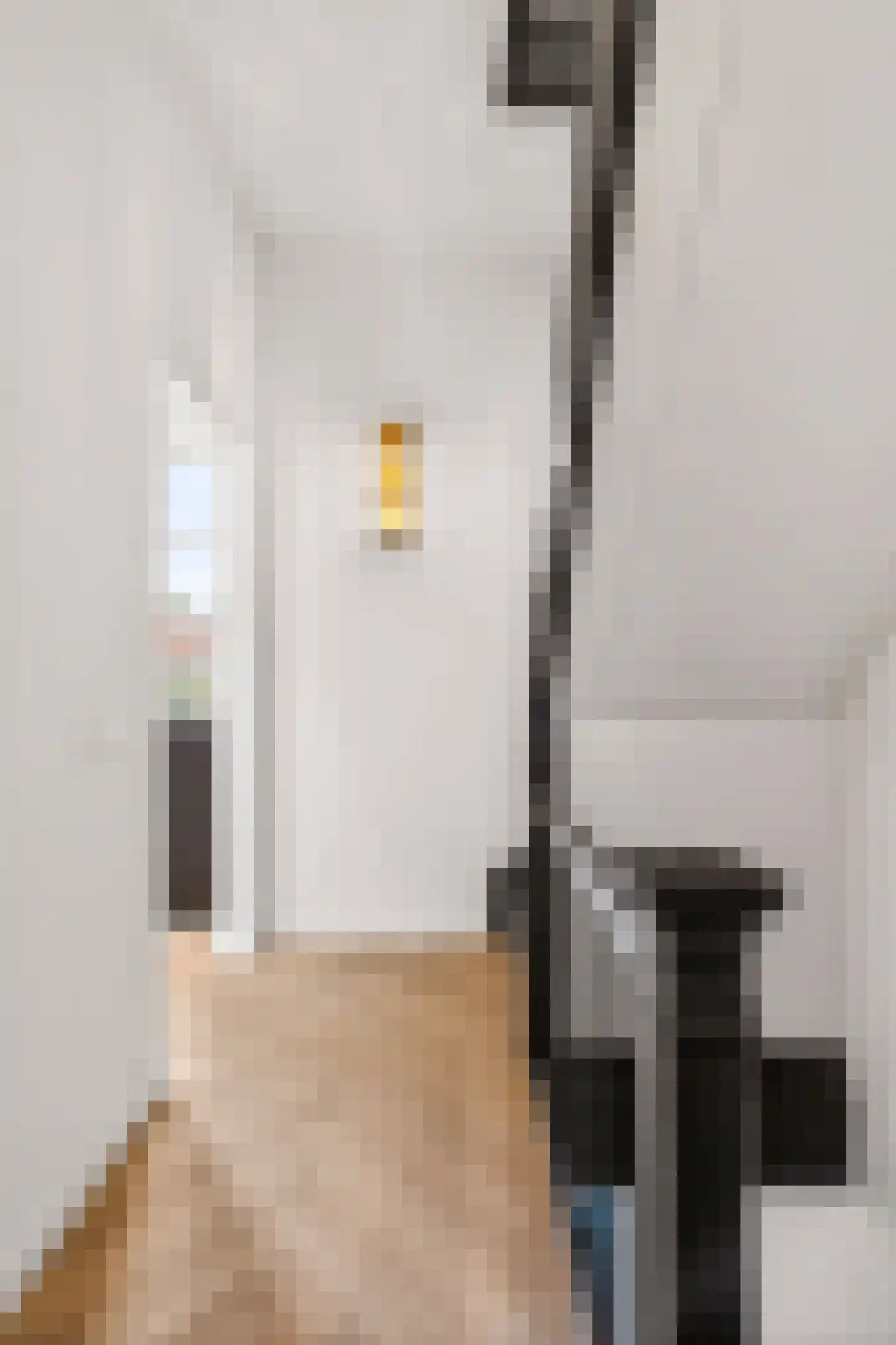 J.P. Heijestraat 32 Arnhem thumbnail 15