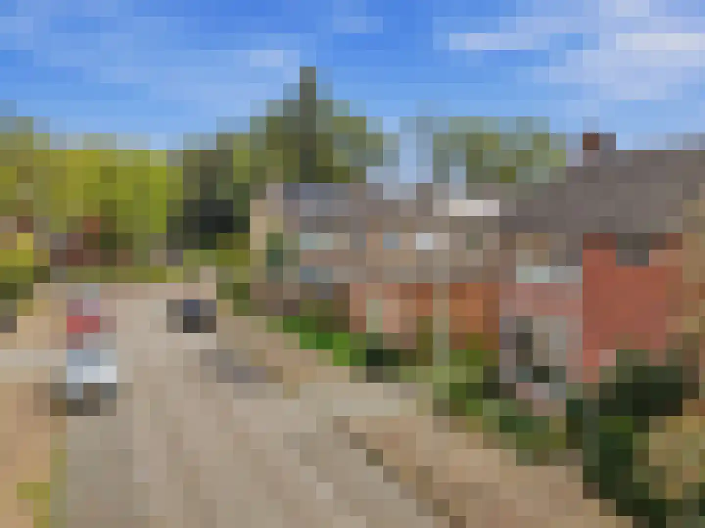 J. P. Heijestraat 58 Zutphen thumbnail 26