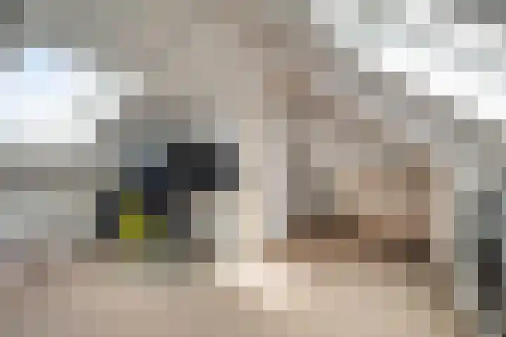 J.P. Heyelaan 17 Harderwijk thumbnail 34