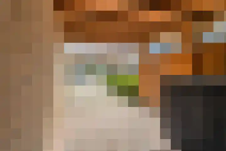 J.P. Heyelaan 17 Harderwijk thumbnail 36
