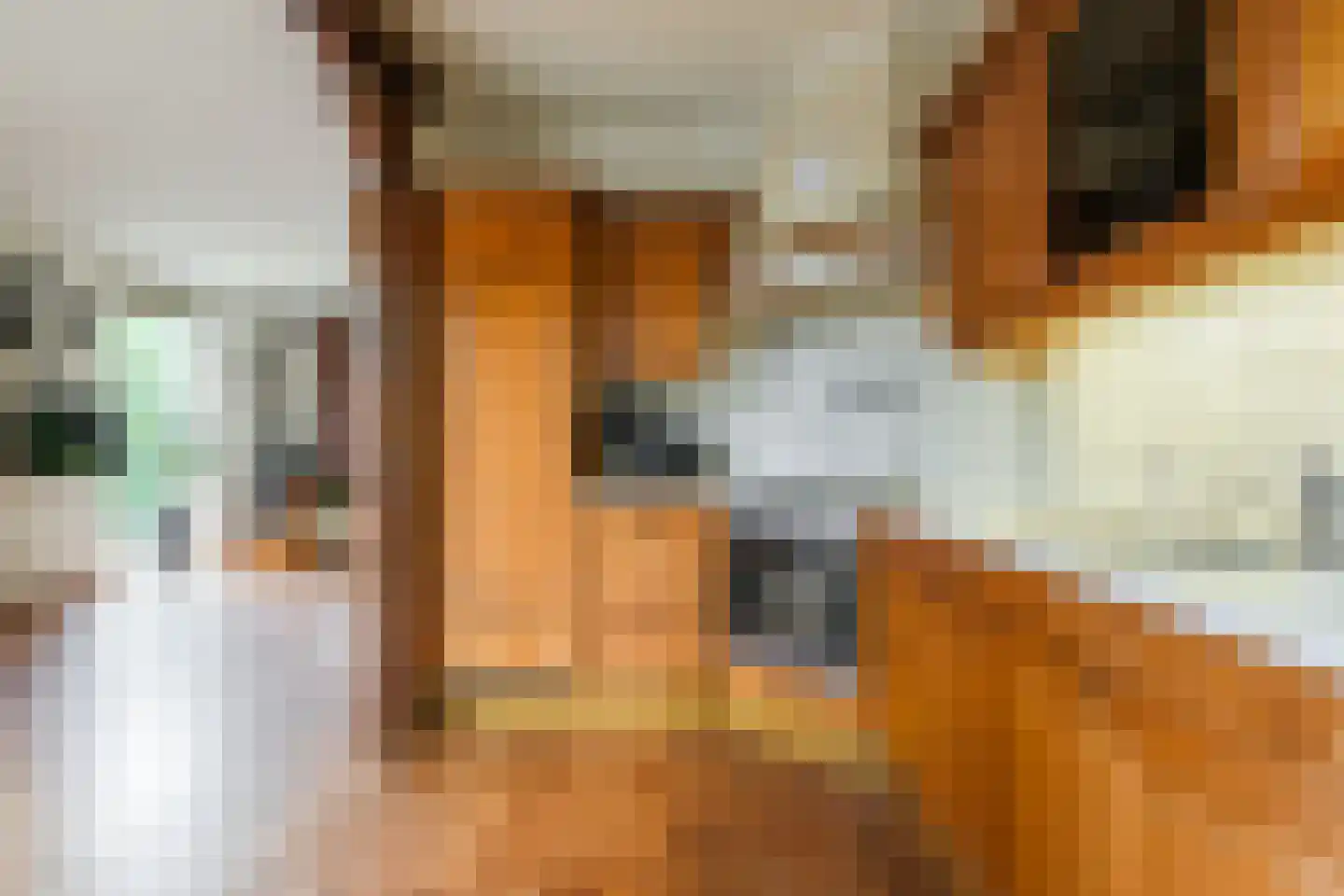 J.P. Heyelaan 38 Harderwijk thumbnail 15