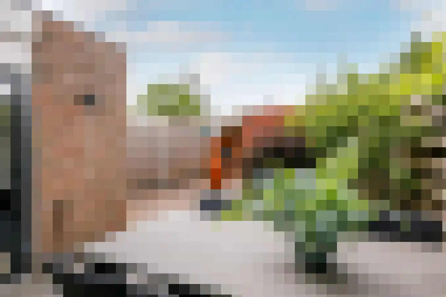 J.P. Heyelaan 42 Harderwijk thumbnail 33