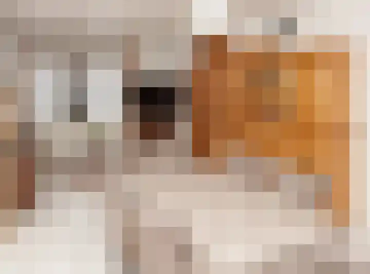 J. P. Leijtenstraat 5 Etten-Leur thumbnail 12