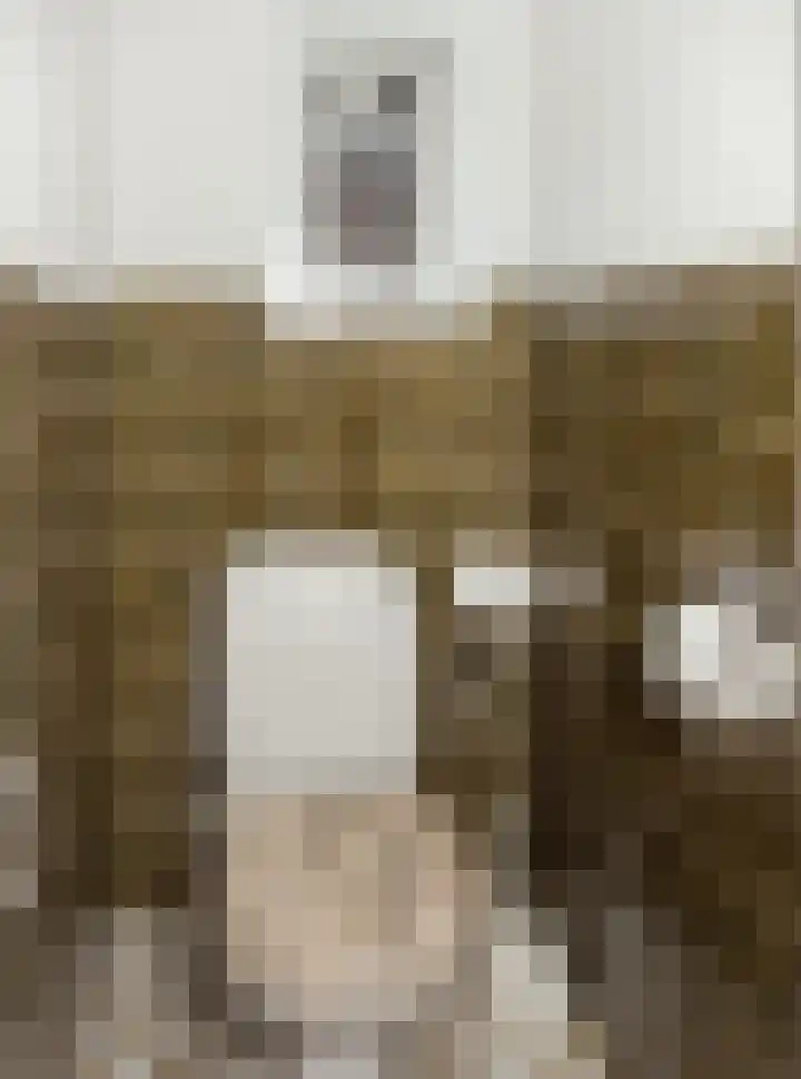 J. P. Leijtenstraat 5 Etten-Leur thumbnail 6