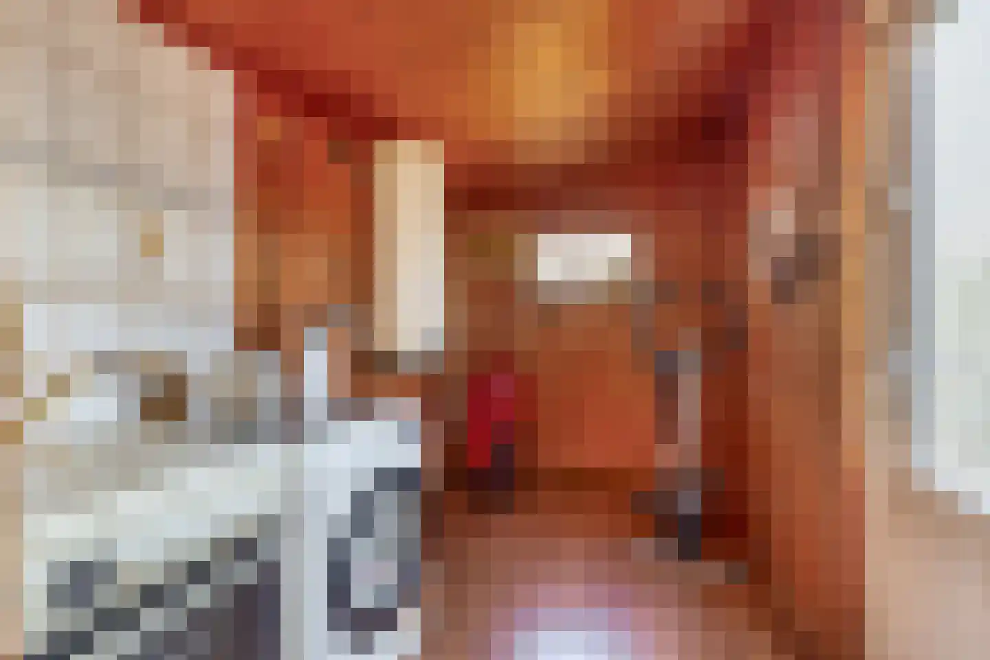 J.P.Nuusweg 5 Finsterwolde thumbnail 20