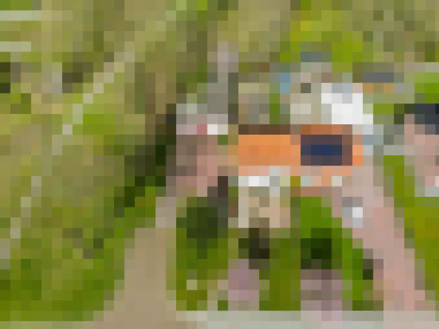 J.P.Nuusweg 5 Finsterwolde thumbnail 37