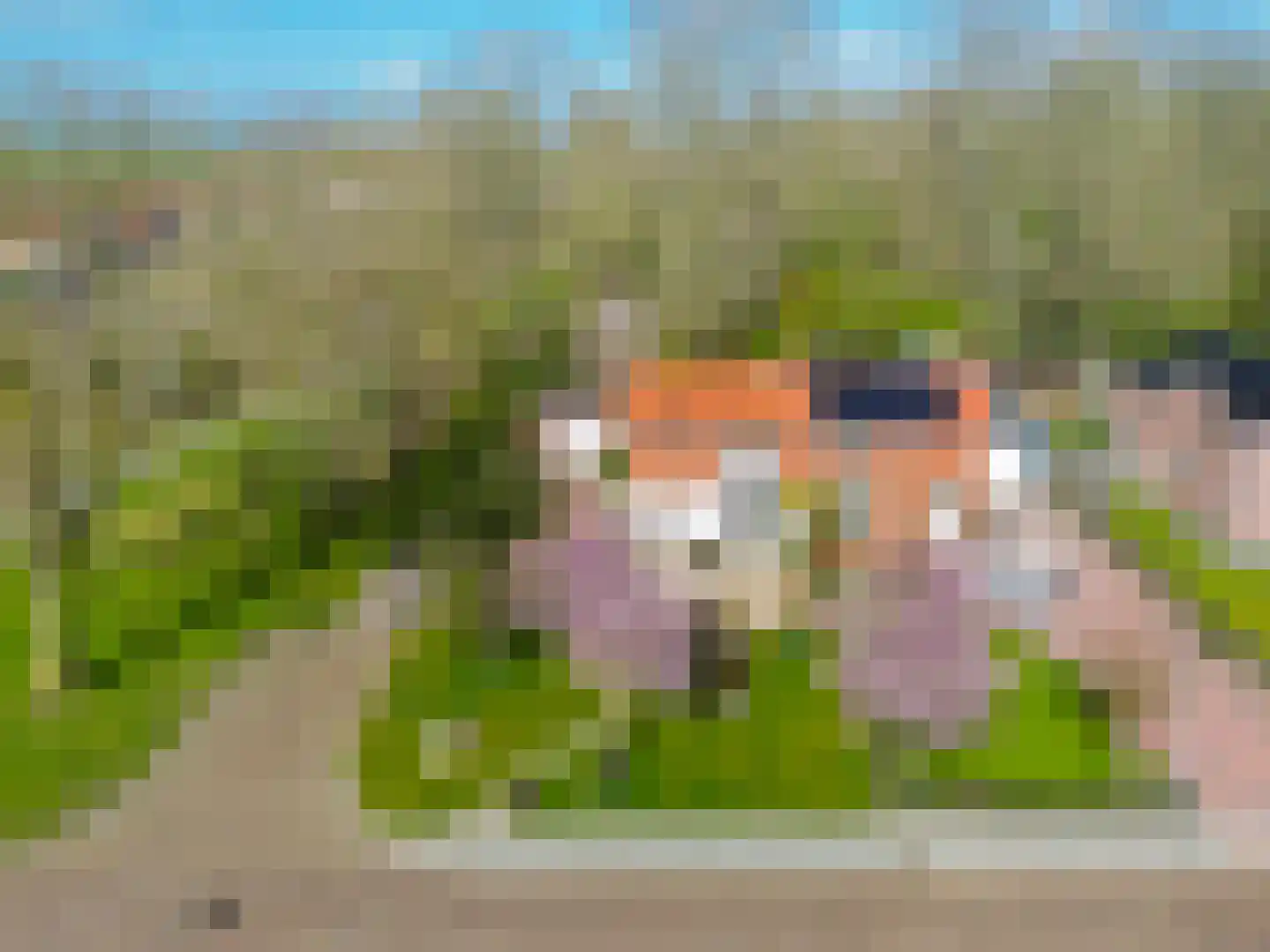 J.P.Nuusweg 5 Finsterwolde thumbnail 39