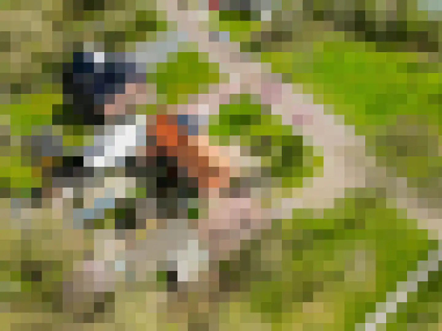 J.P.Nuusweg 5 Finsterwolde thumbnail 40
