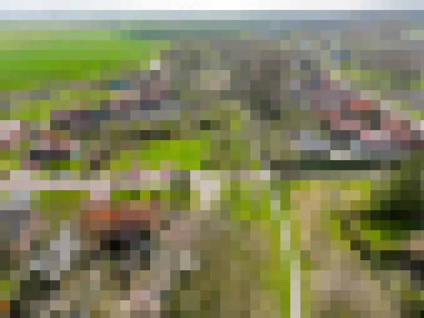 J.P.Nuusweg 5 Finsterwolde thumbnail 41