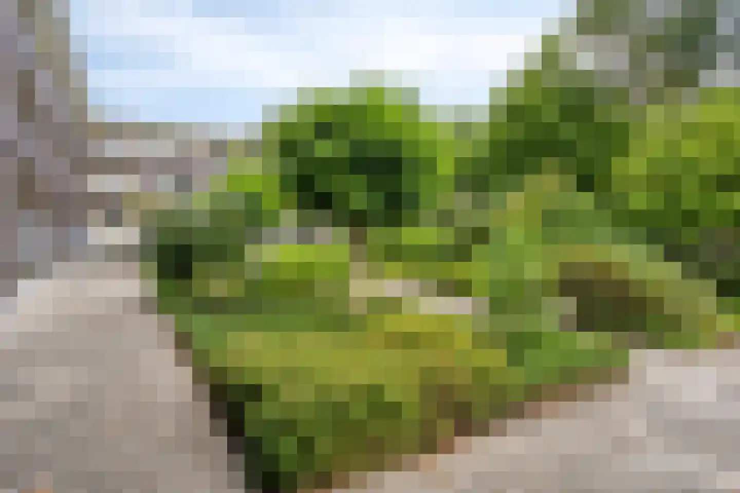 J.P. Santeeweg 2 D Nietap thumbnail 32
