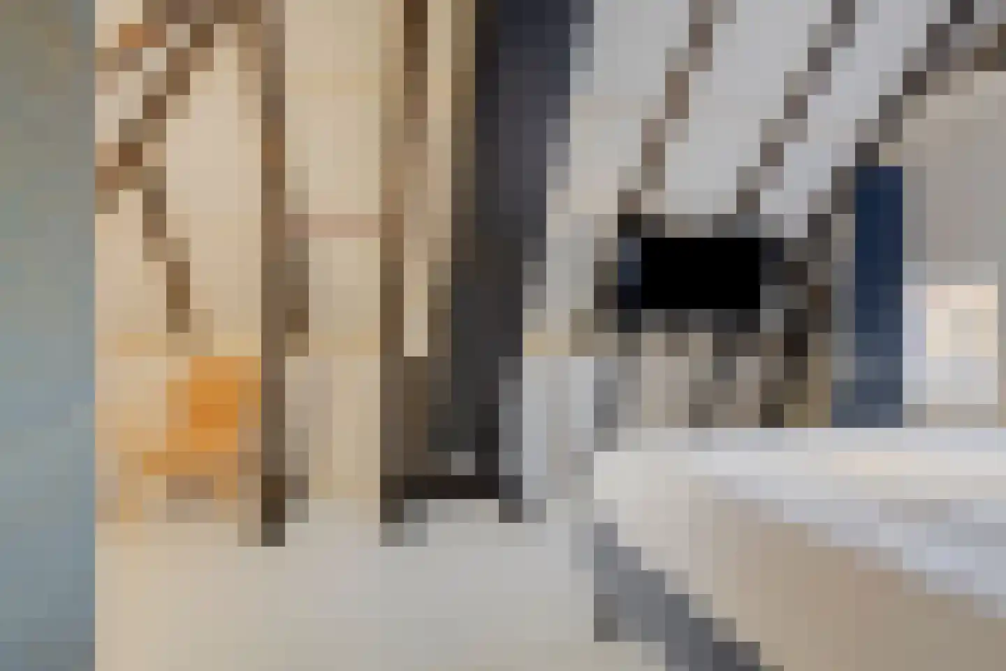 J.P. Santeeweg 27 Nietap thumbnail 36