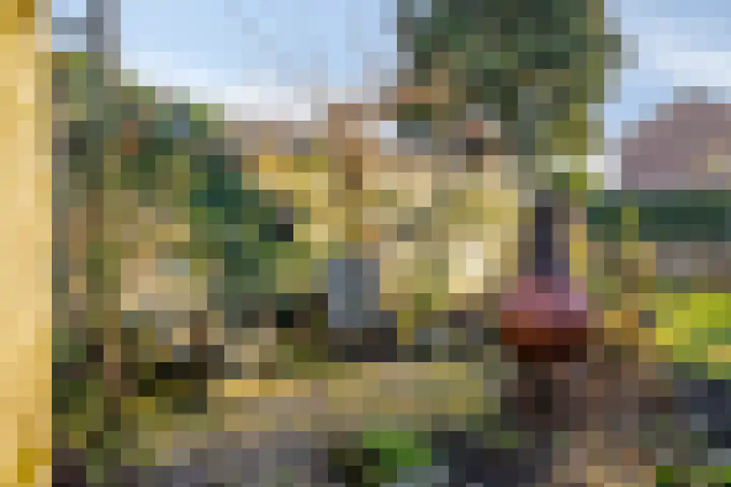 J.P. Santeeweg 27 Nietap thumbnail 46