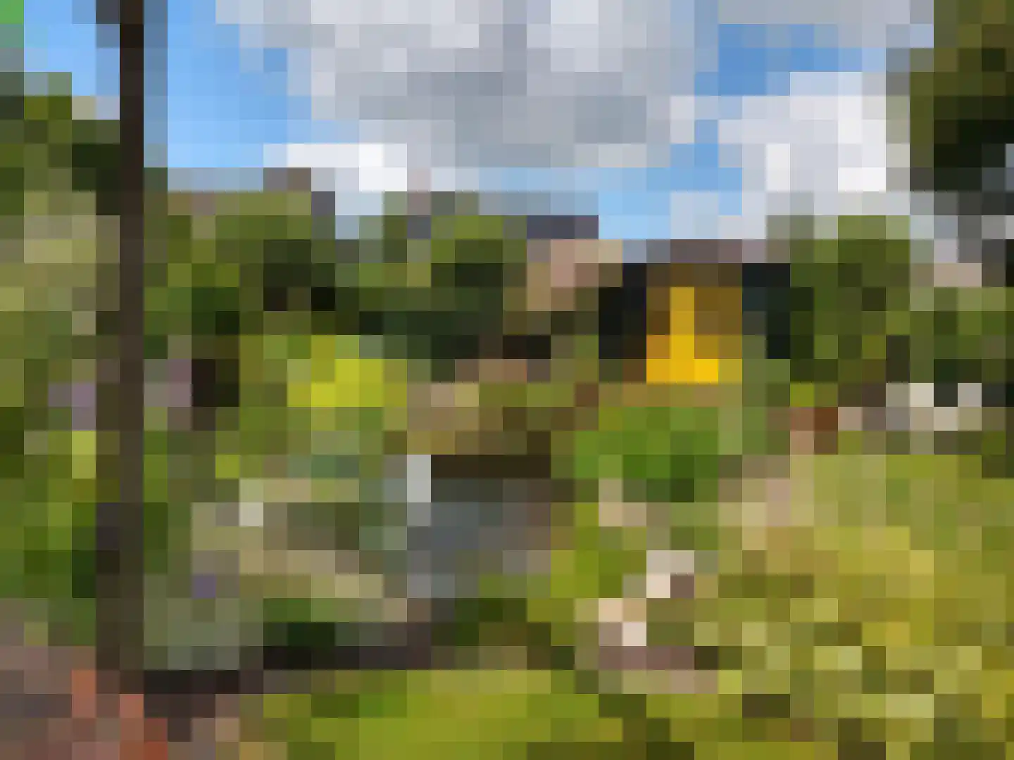 J.P. Santeeweg 27 Nietap thumbnail 64