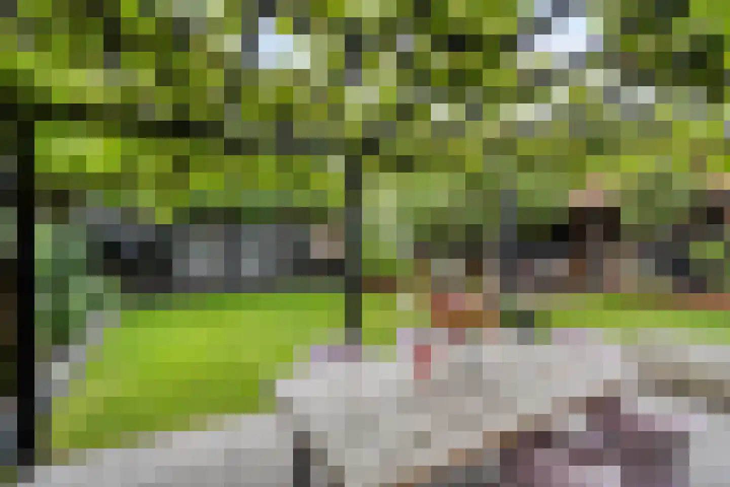 J.P. Santeeweg 57 Nietap thumbnail 5