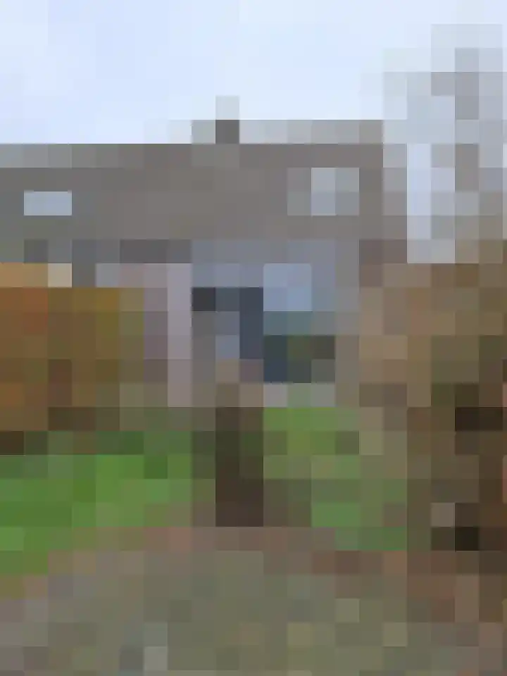 J.P. Sweelinckstraat 19 Spijkenisse thumbnail 14