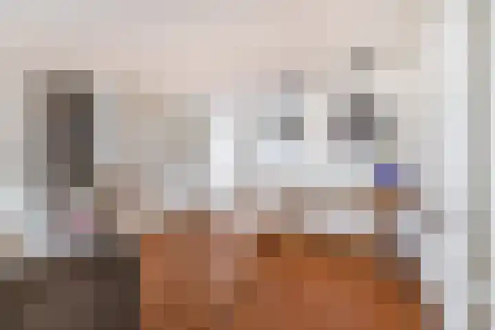 J.P. Sweelinckstraat 20 Spijkenisse thumbnail 17