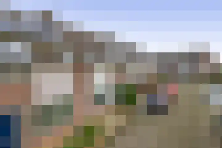 J.P. Sweelinckstraat 20 Spijkenisse thumbnail 6