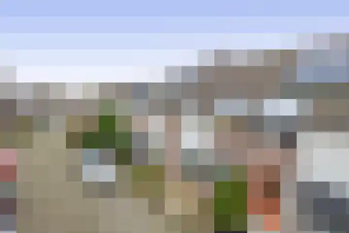 J.P. Sweelinckstraat 20 Spijkenisse thumbnail 7