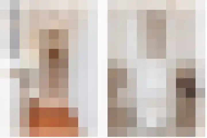 J.P. Sweelinckstraat 20 Spijkenisse thumbnail 9