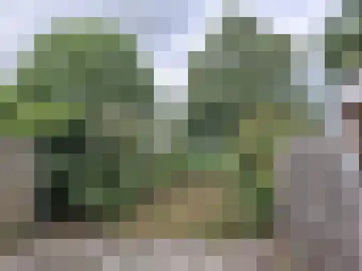 J.P. Sweelinckstraat 63 Spijkenisse thumbnail 13