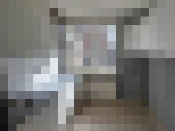 J.P. Sweelinckstraat 63 Spijkenisse thumbnail 5