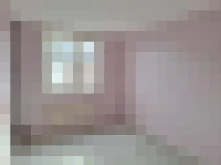 J.P. Sweelinckstraat 63 Spijkenisse thumbnail 9