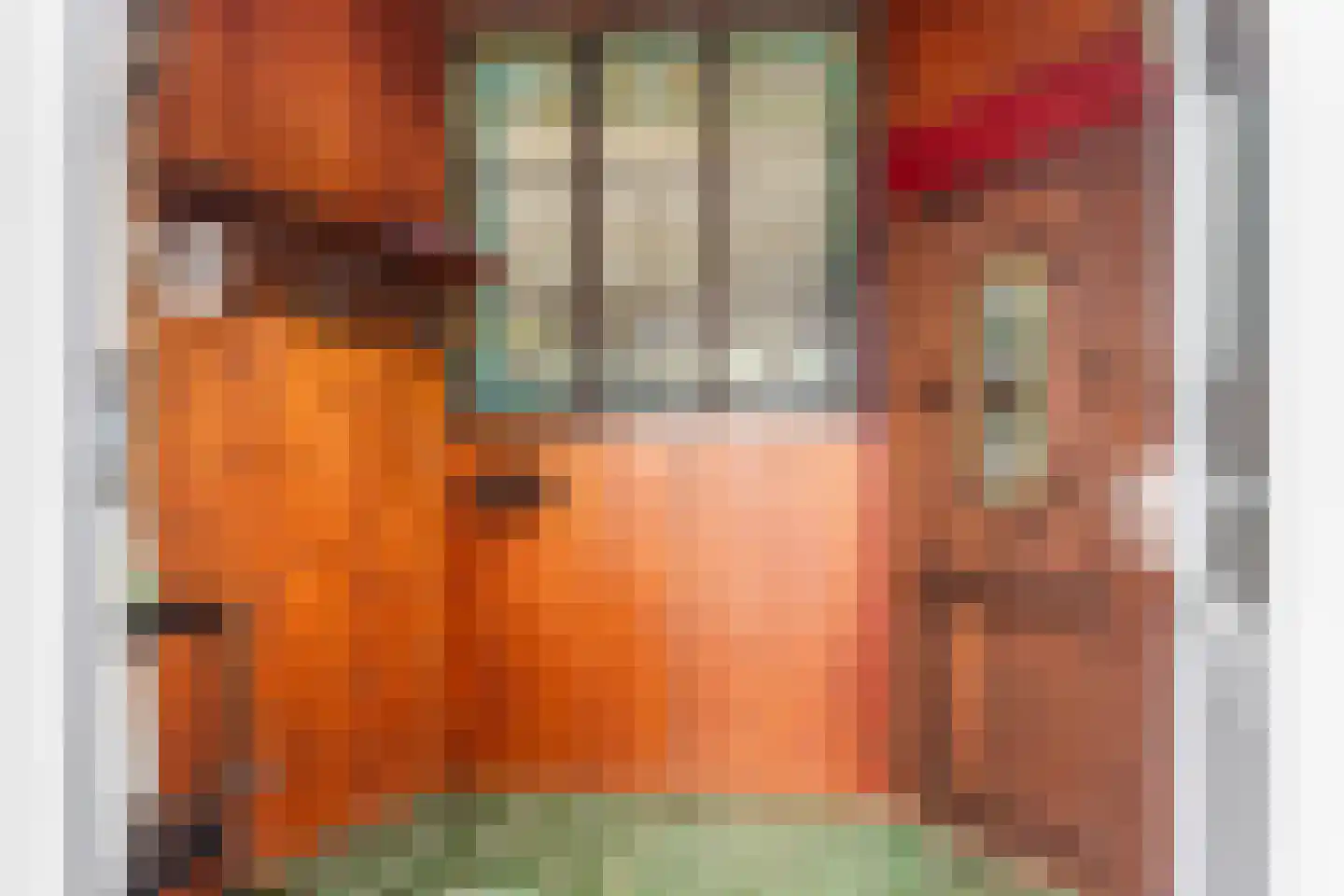 J.P. van der Bildtstraat 2 Vrouwenparochie thumbnail 18