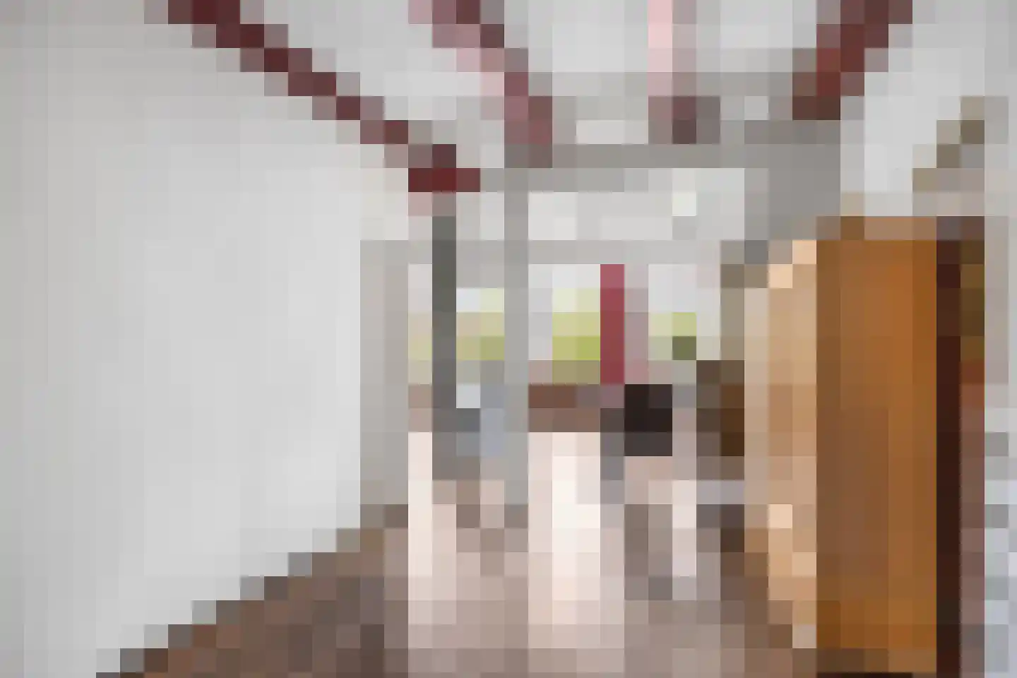 J.P. van der Bildtstraat 2 Vrouwenparochie thumbnail 23