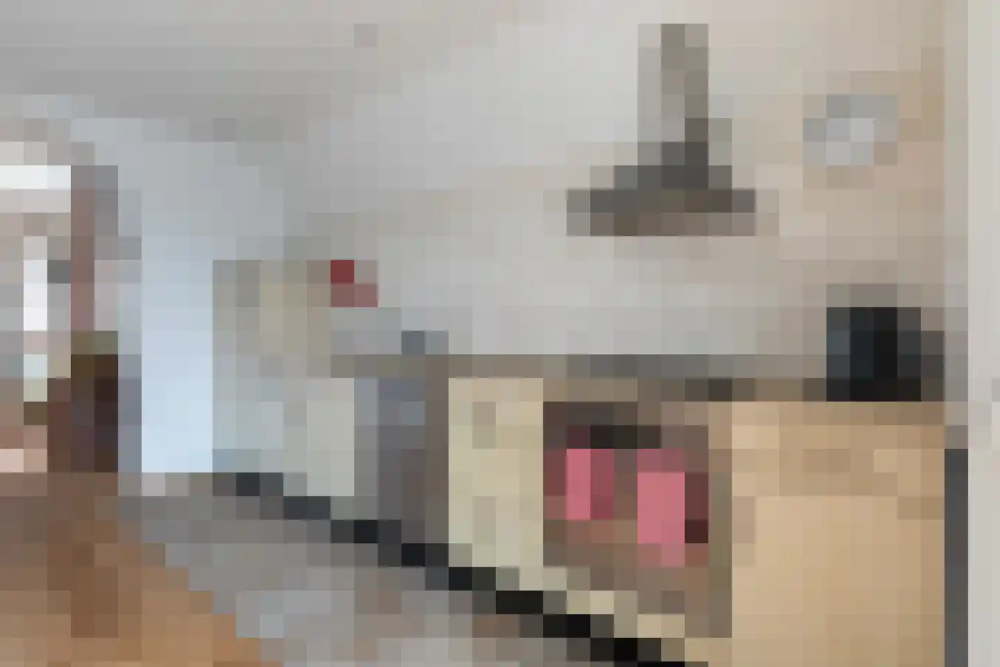 J.P. van der Bildtstraat 25 Vrouwenparochie thumbnail 15