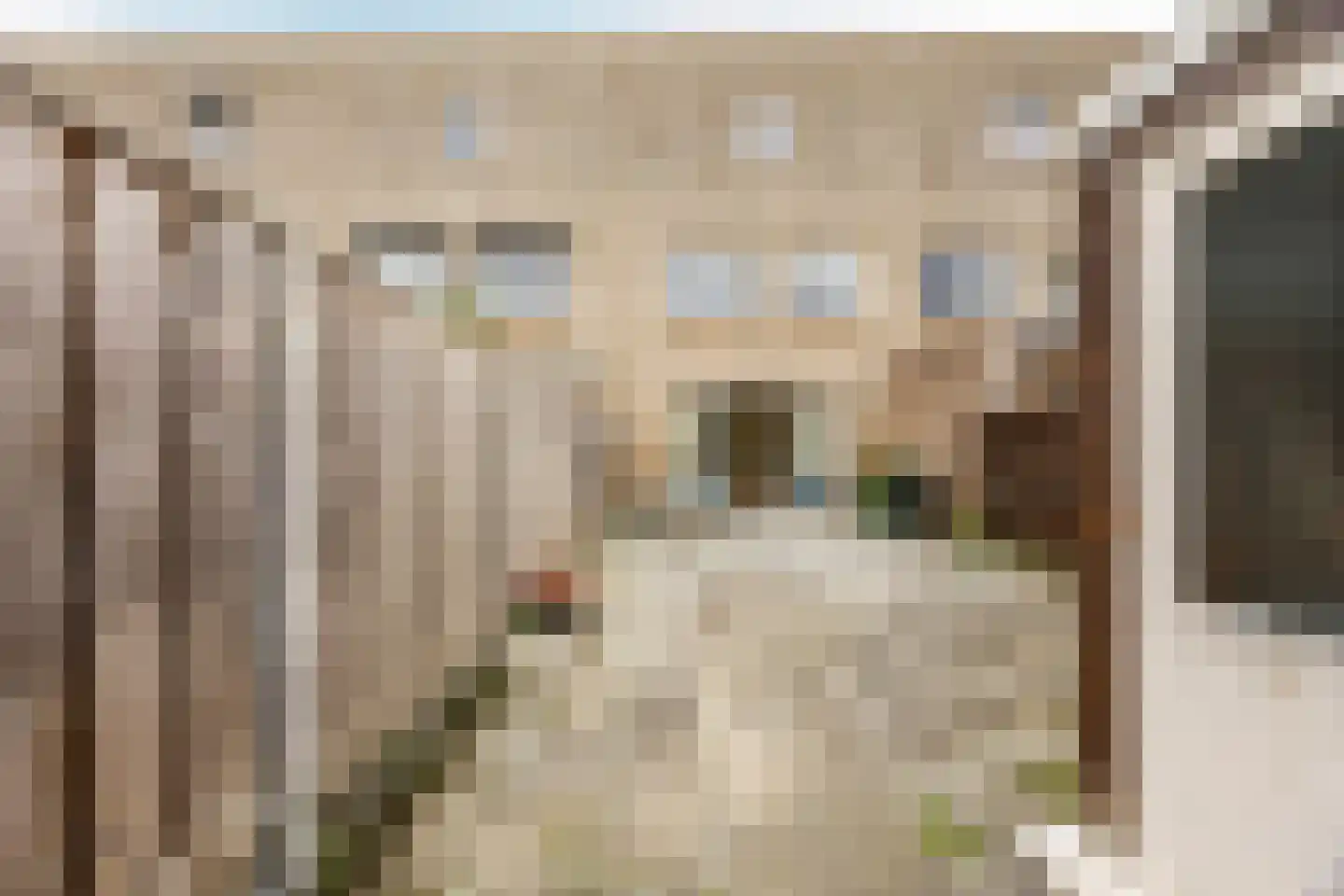 J. Paxtonstraat 24 Velserbroek thumbnail 17