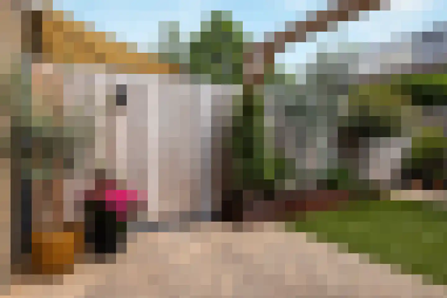J. Paxtonstraat 41 Velserbroek thumbnail 18